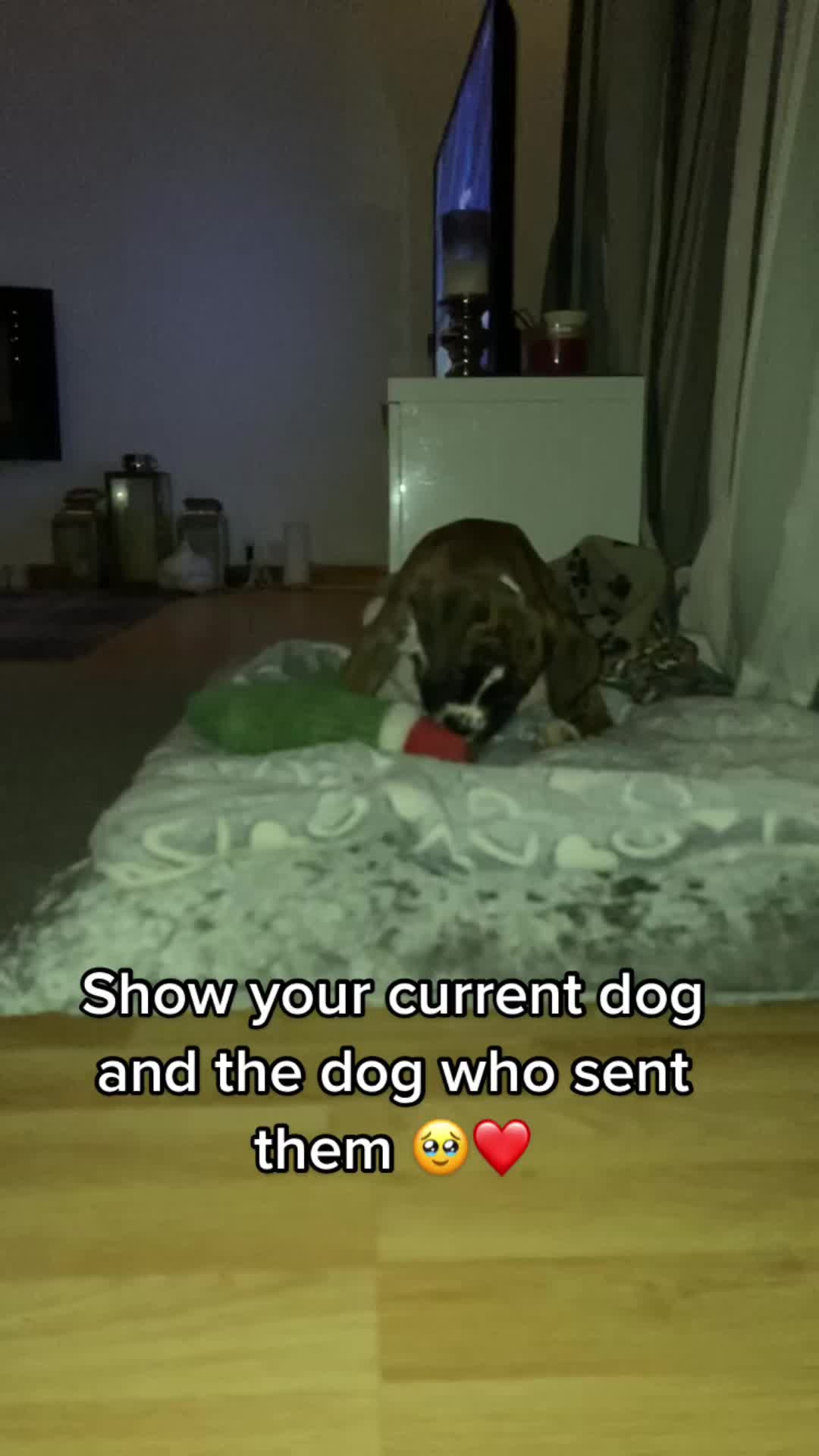 @kayleighlouise.03