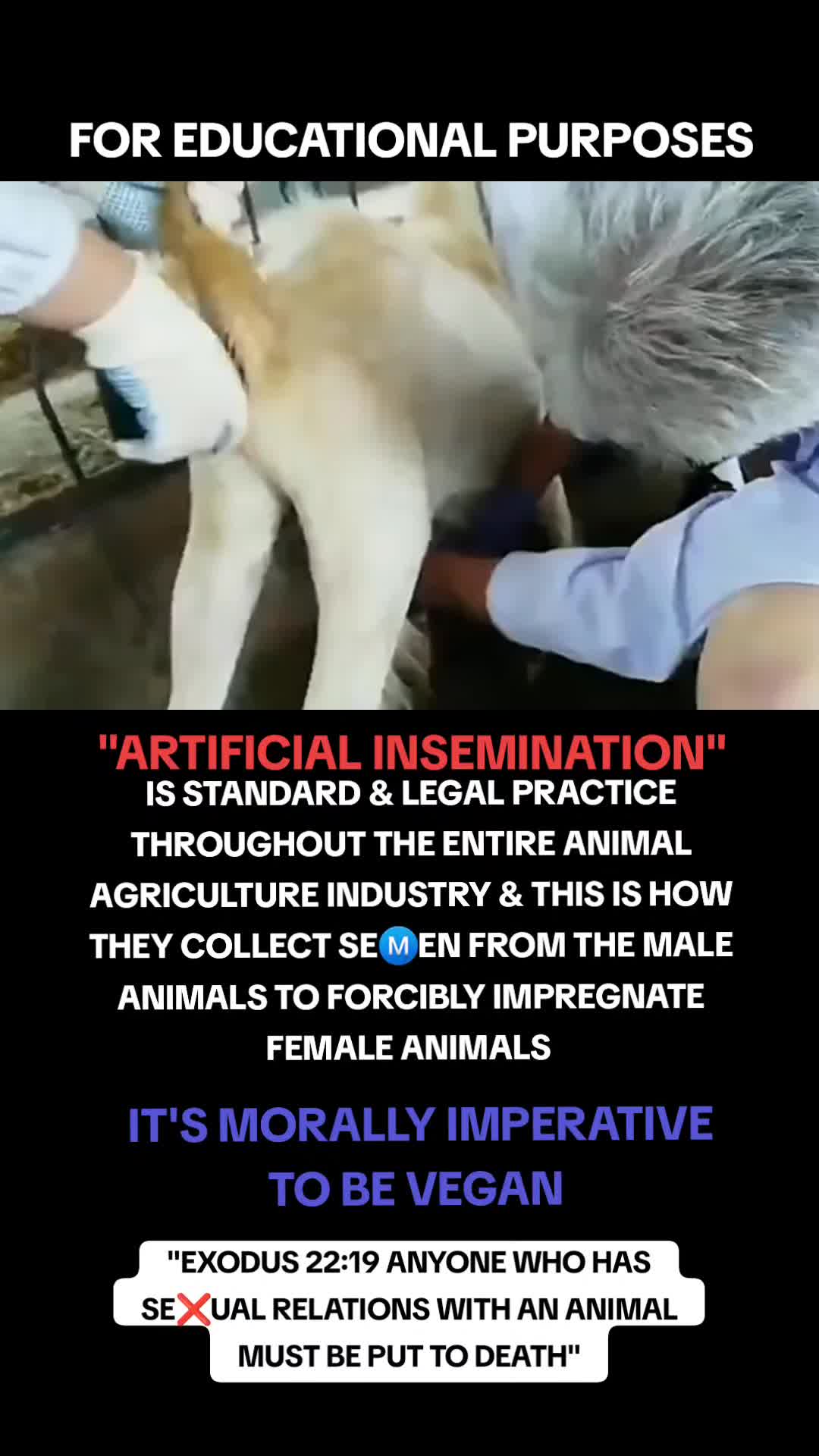 @advocate4animals