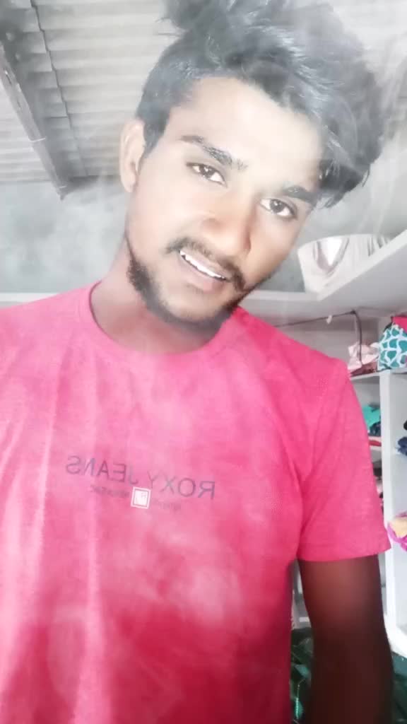 @bunny