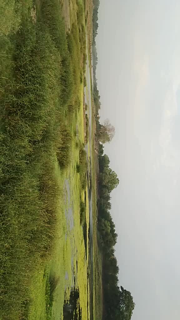 @_bhagwat_sahu_