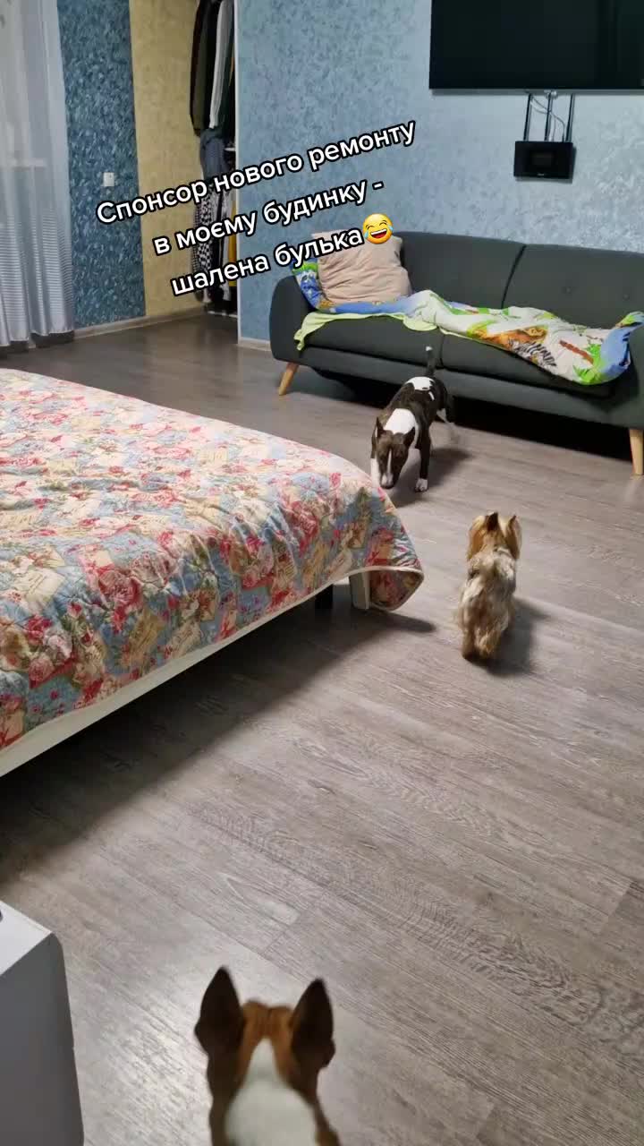 @RUA ATHA KENNEL