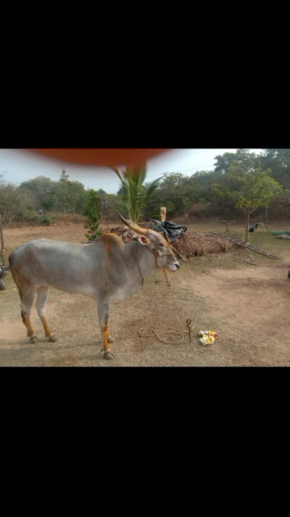 @Vijay Karan