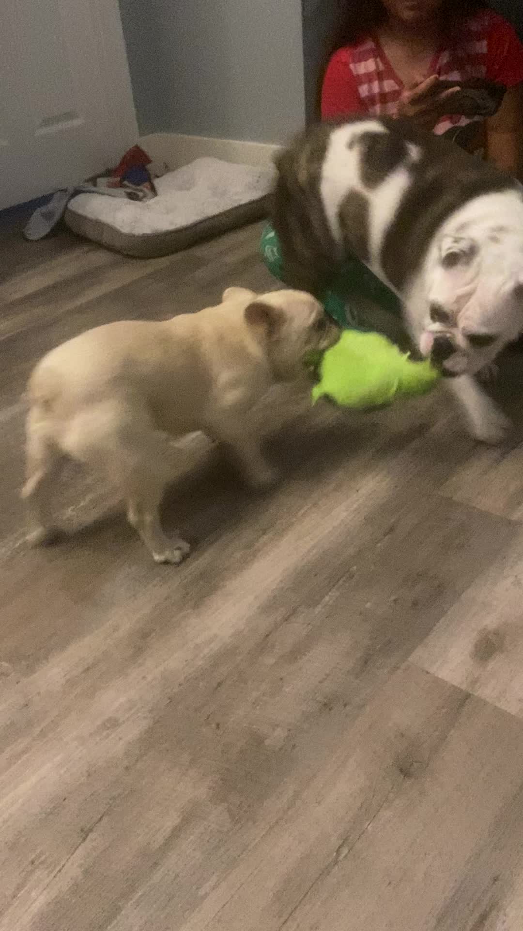 @nalathebulldog20