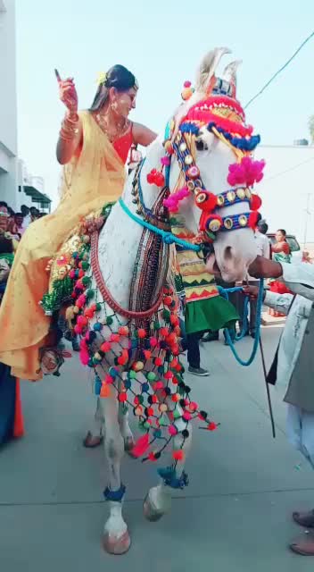 @Jay Koli Samaj ♥1204
