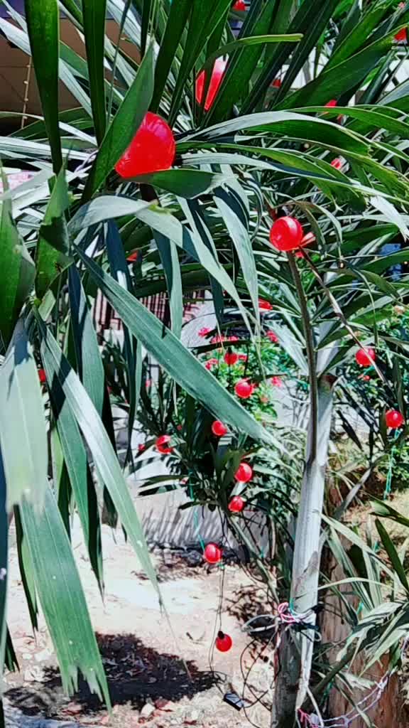 @Renju Balan
