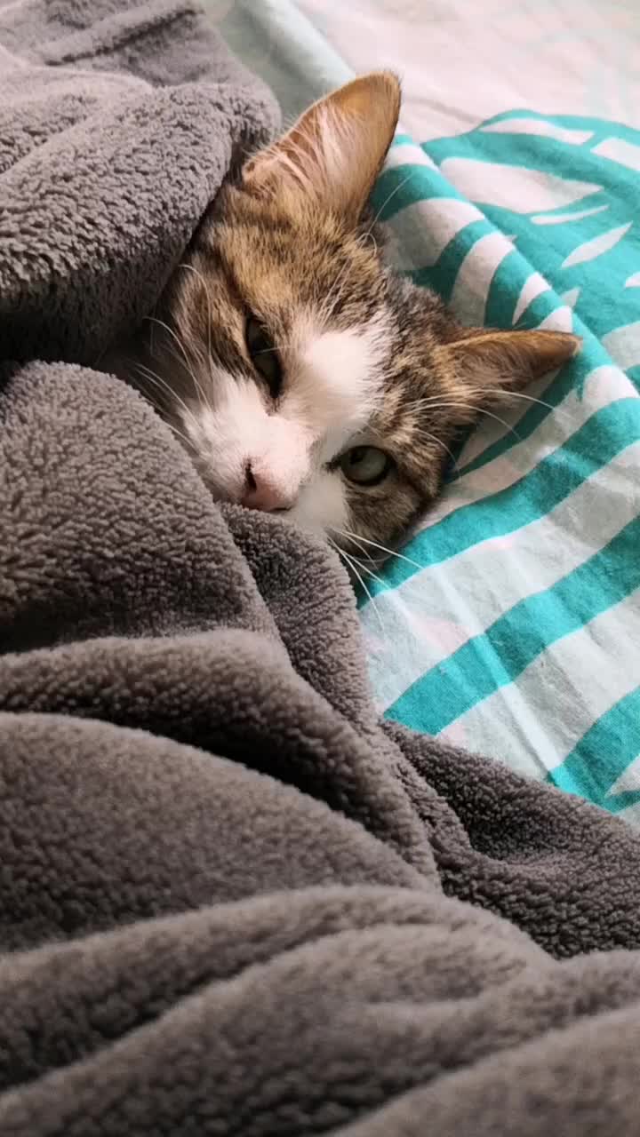 @Pêche 😺