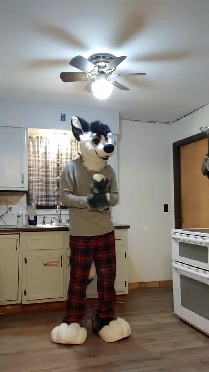 @Ryker_Mutt