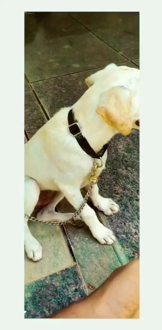 @sai kumar