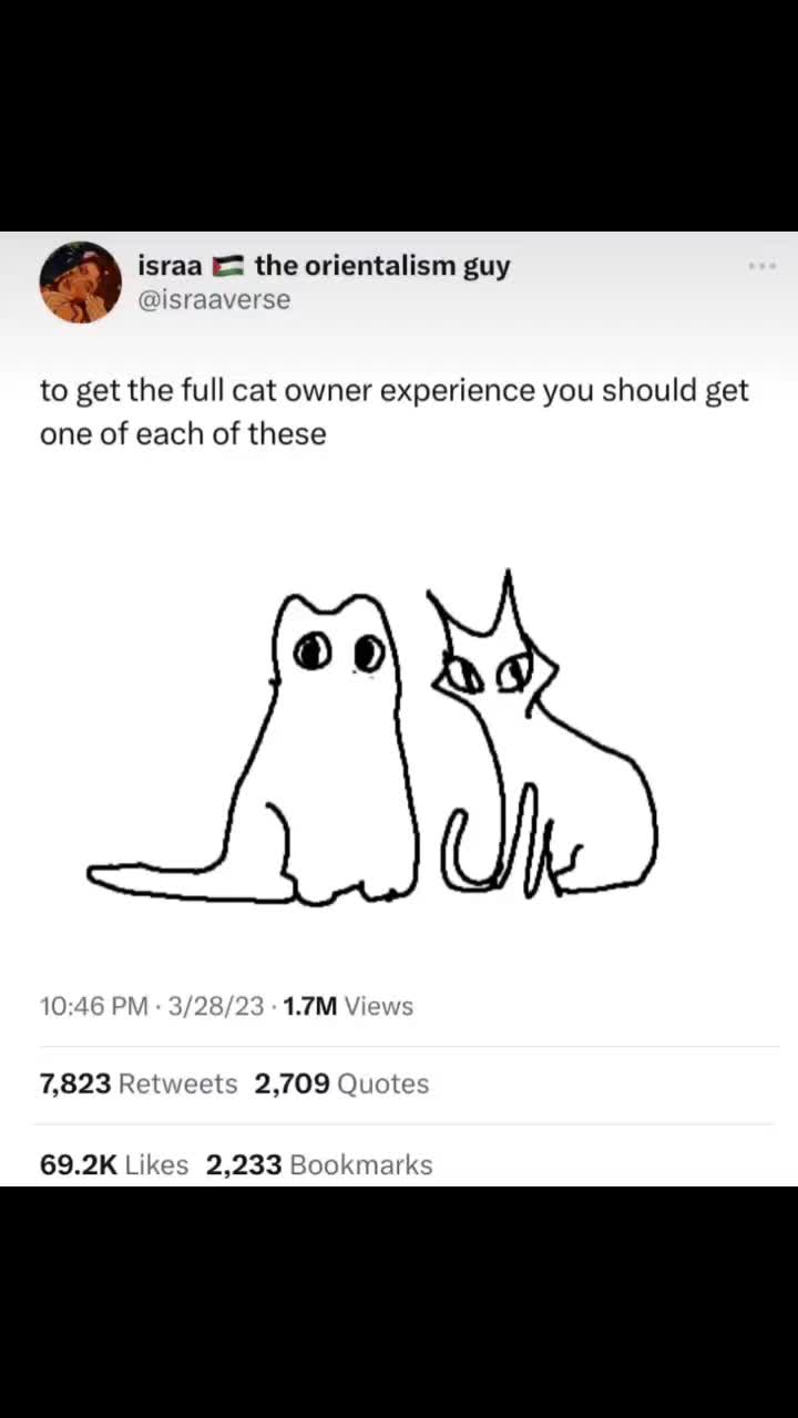 @silvershroud
