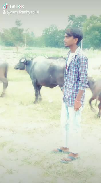 @vibhu