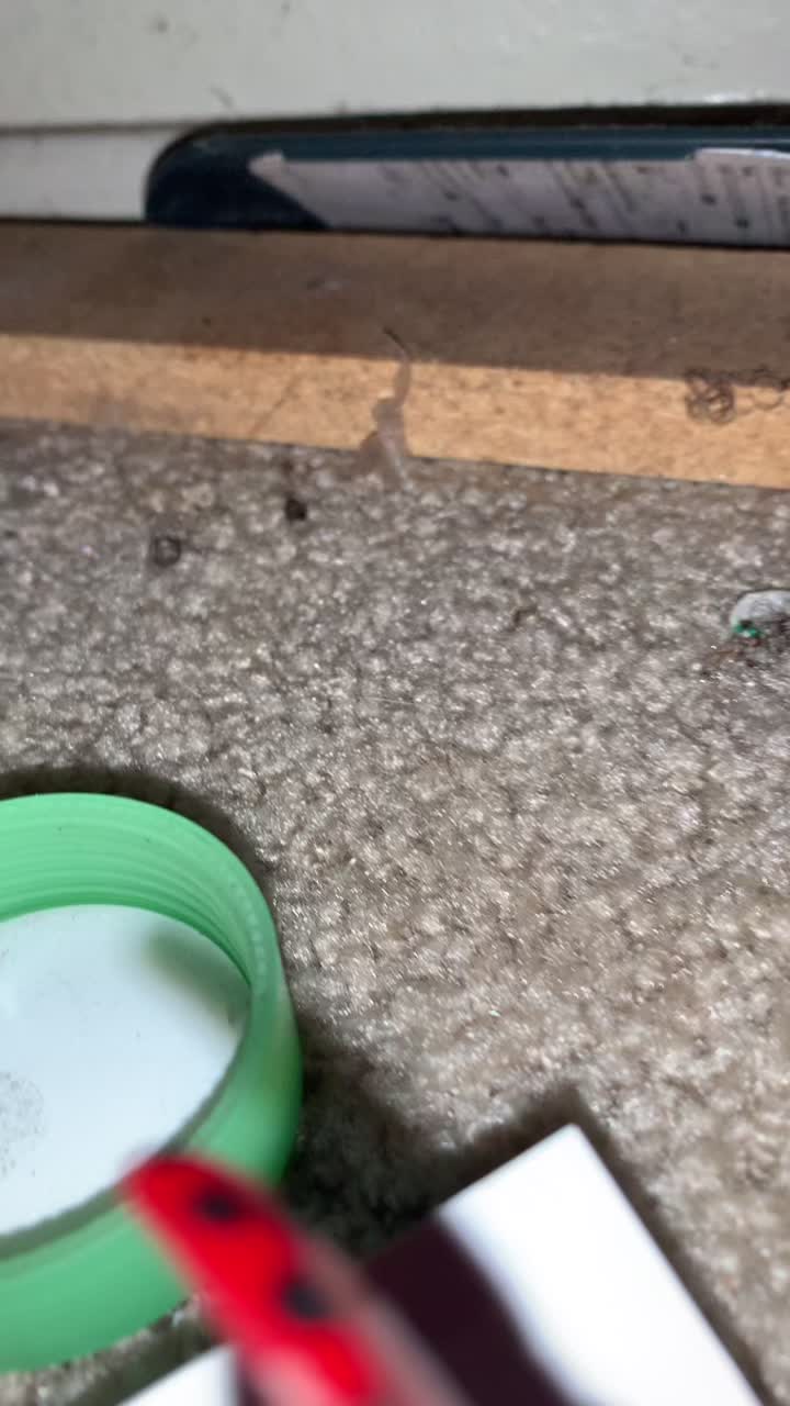 @Tea