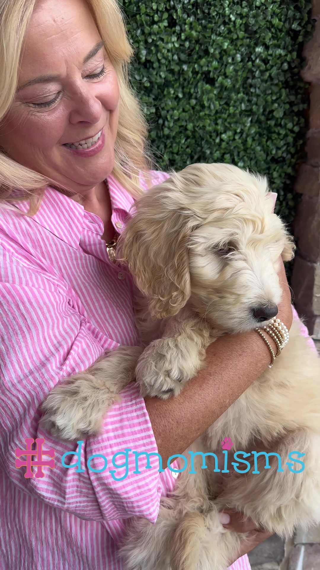 @DogMomisms