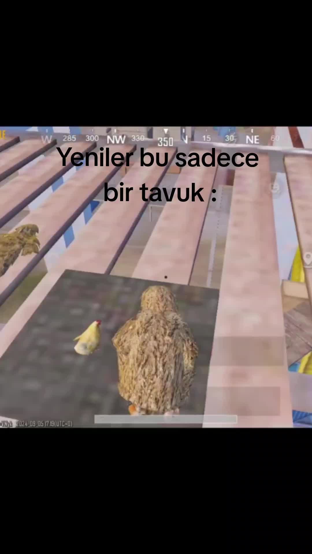 @Qms Owner