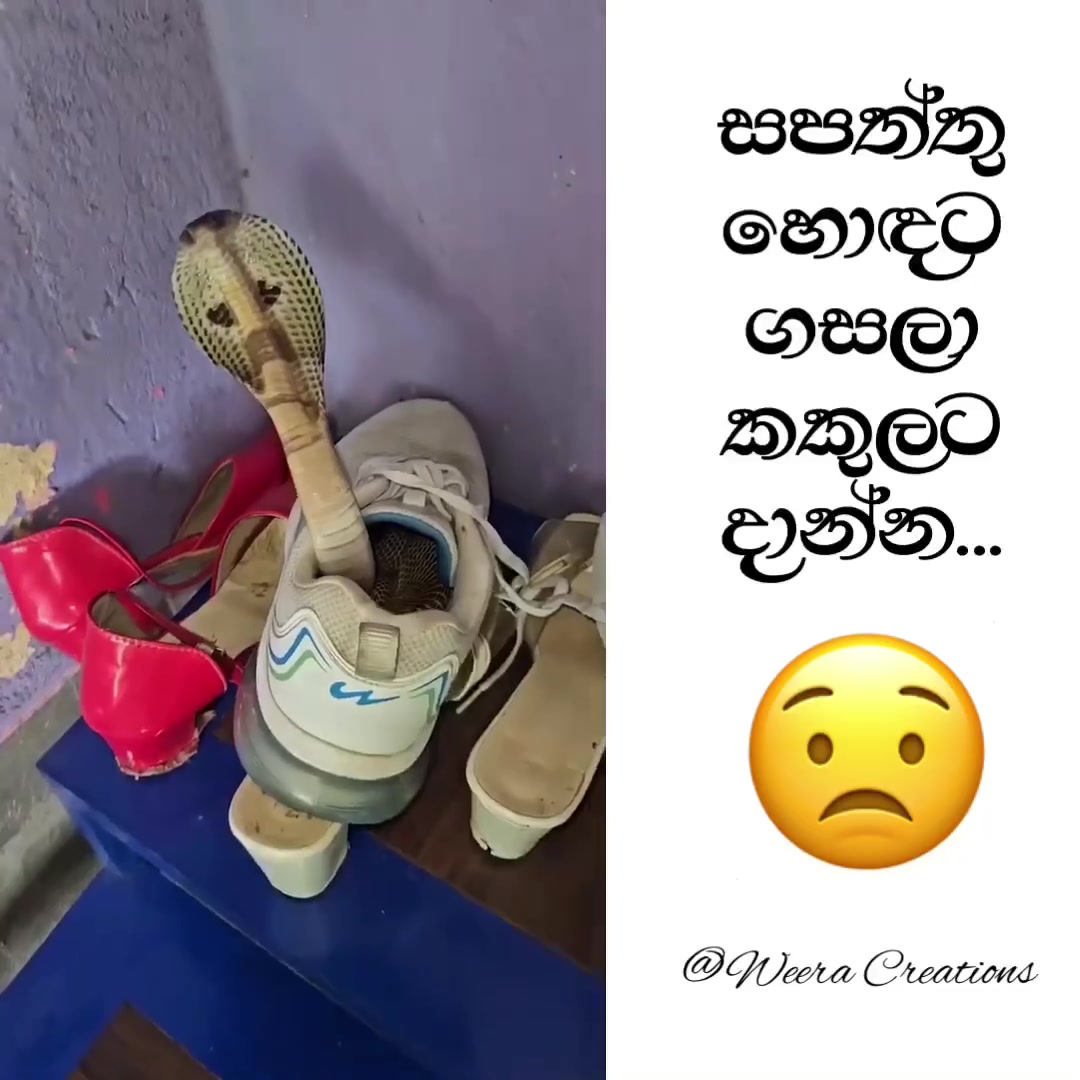@Weera Creations