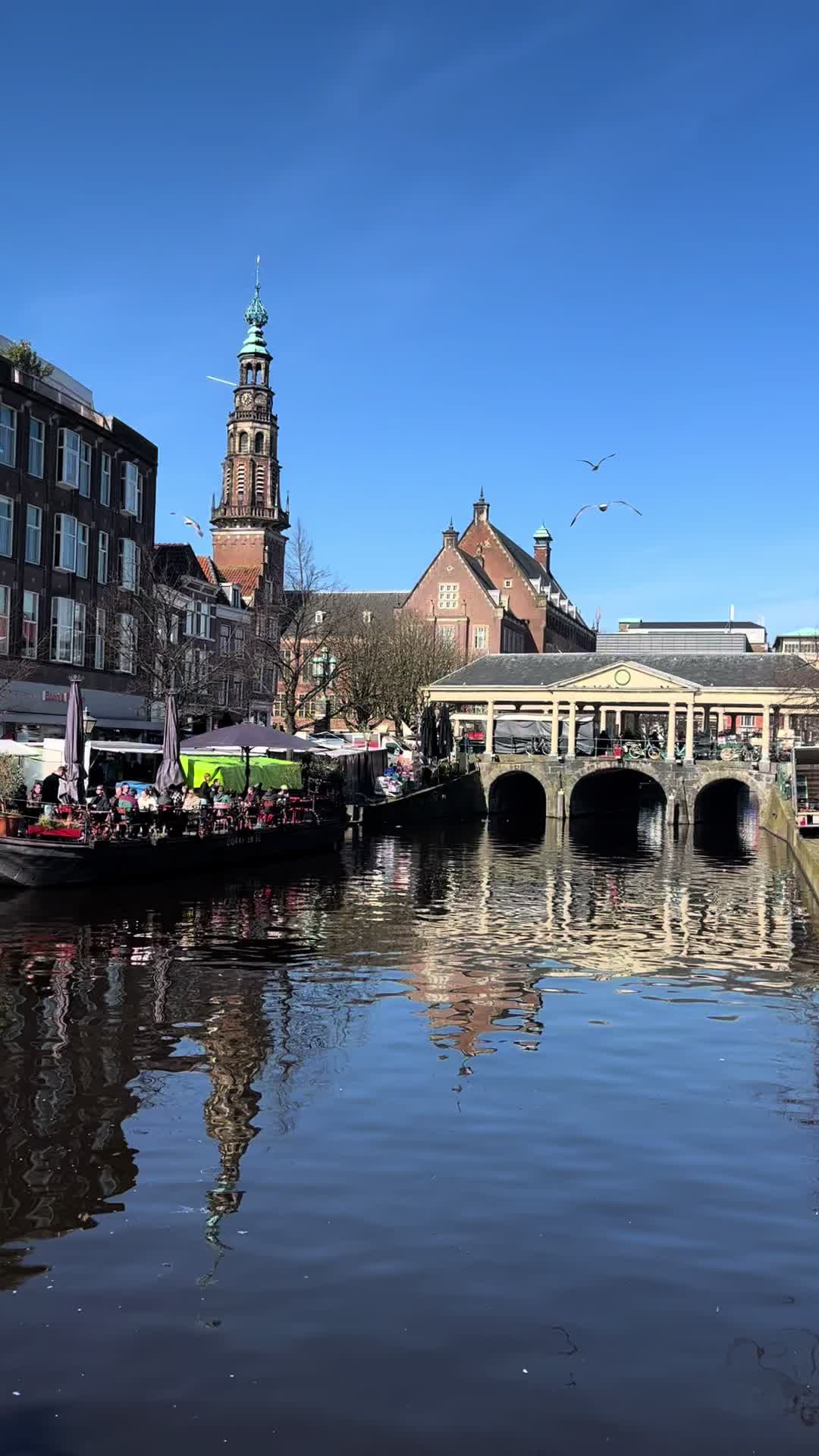 @Leidenlocal