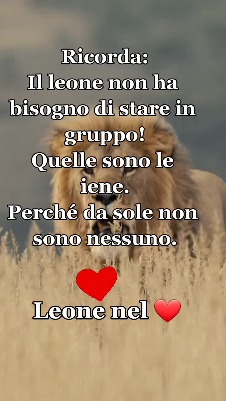 @leone nel ❤