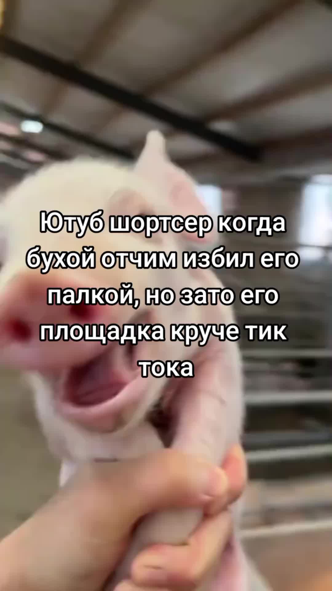 @Расиэнэрэ