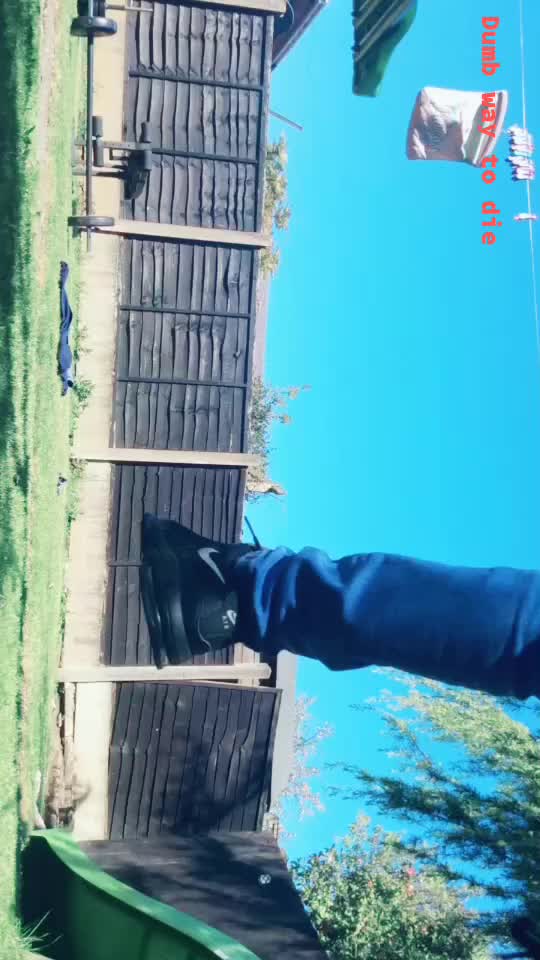 @reeceyooo