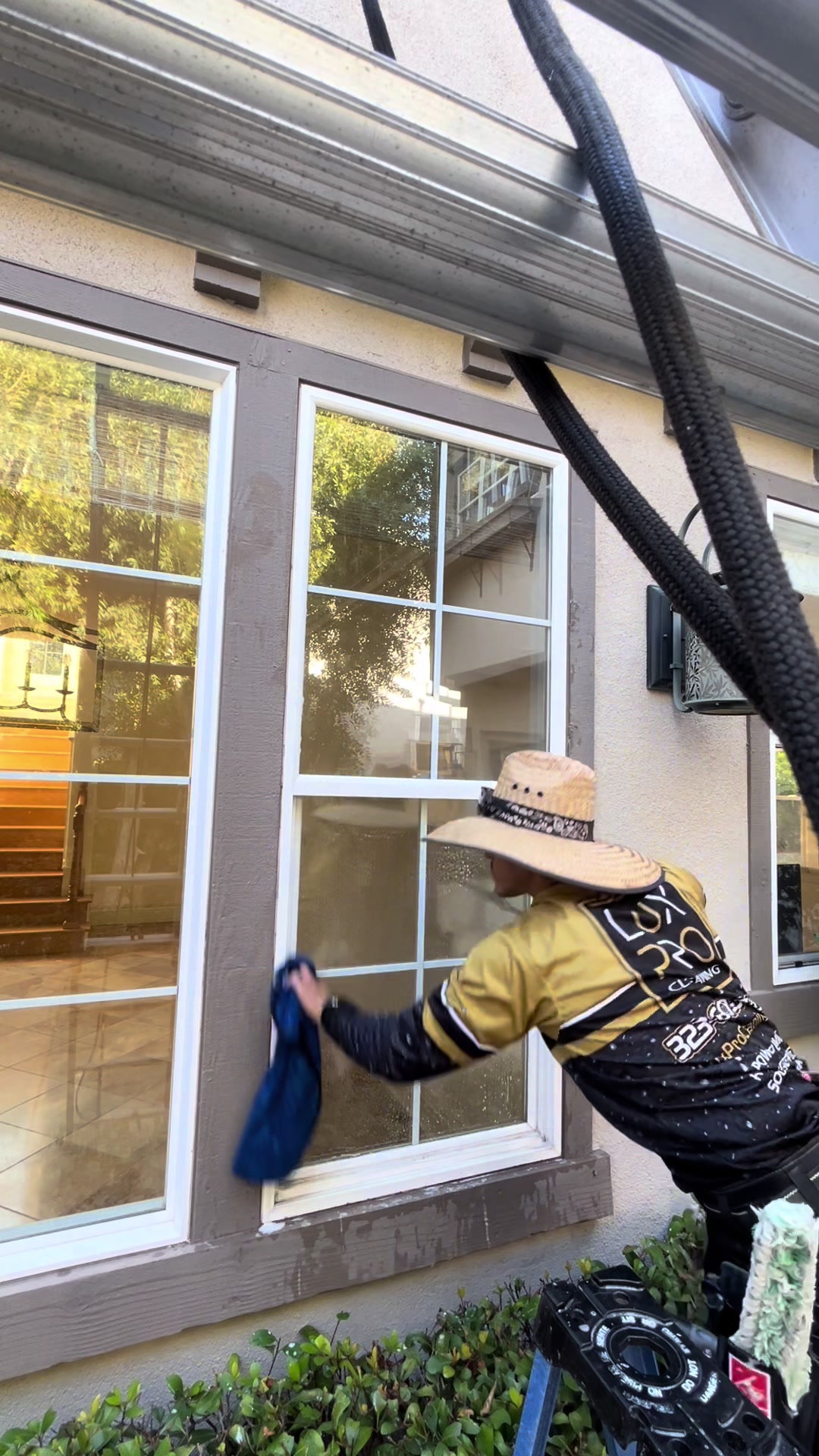 @luxprocleaning