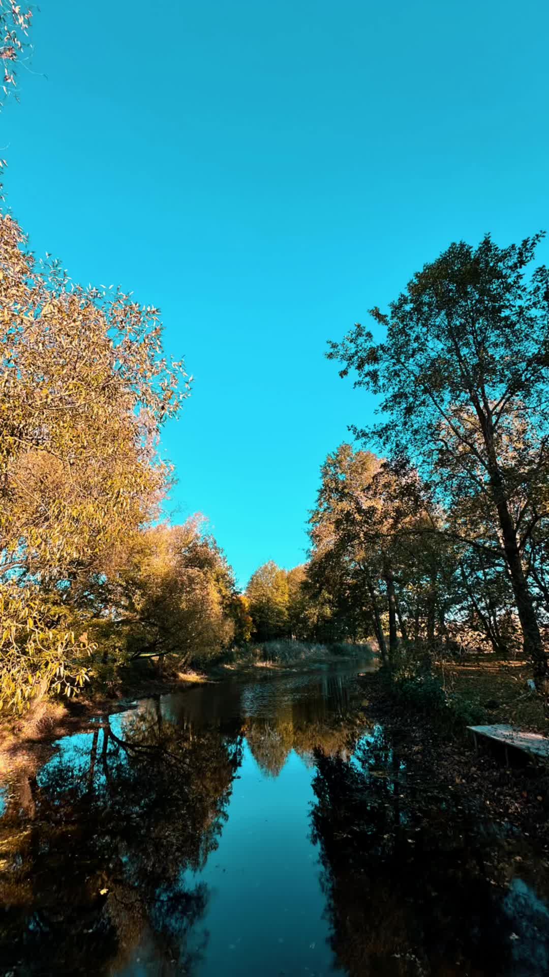 @🍂🍁Александра🍁🍂