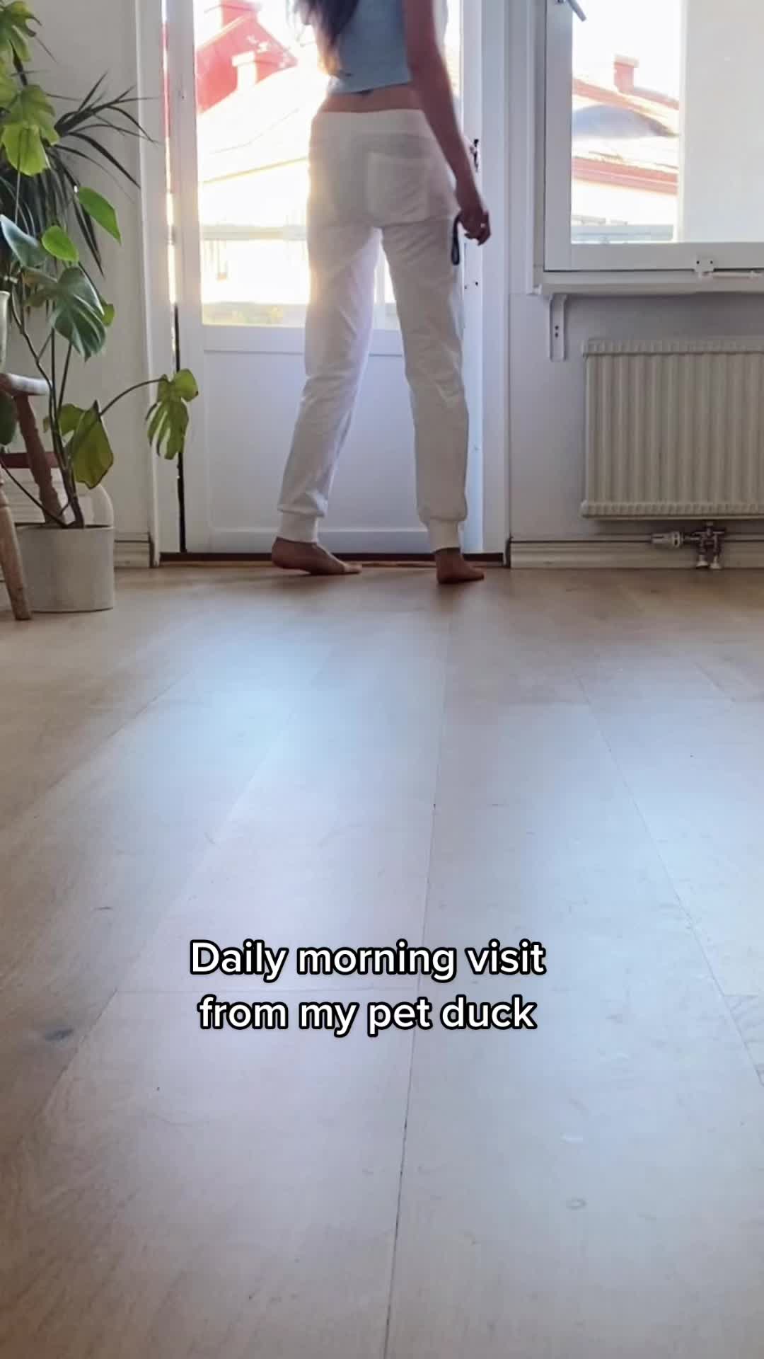@Winston gull