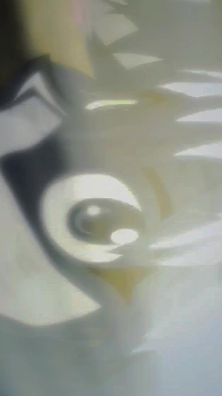 @:(: