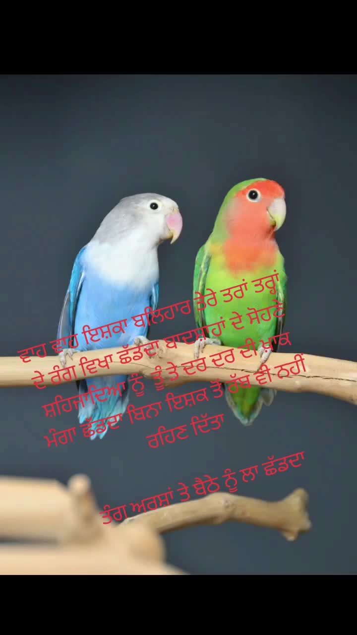@Rj Sahota32 London,pb08 wale