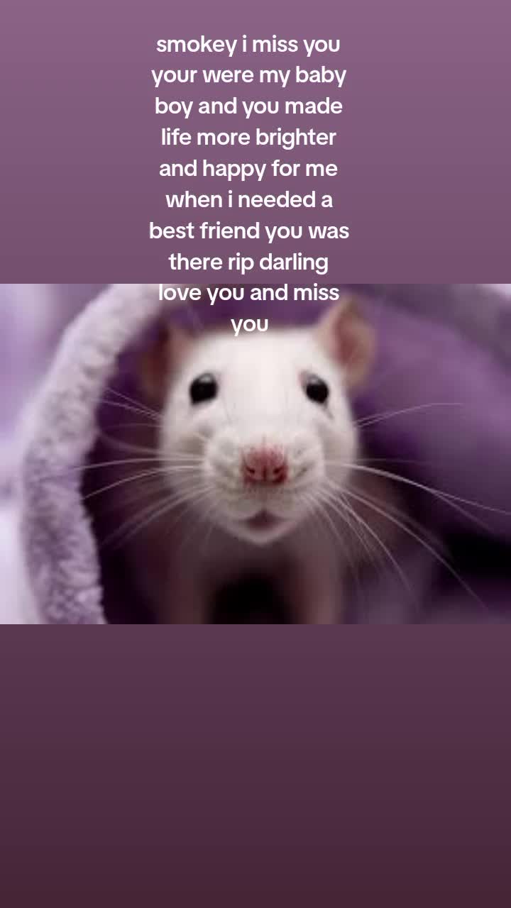 @Clairemills