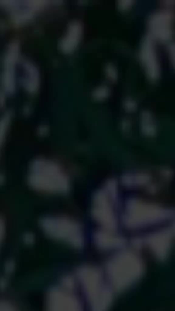 @rehanshakoor925