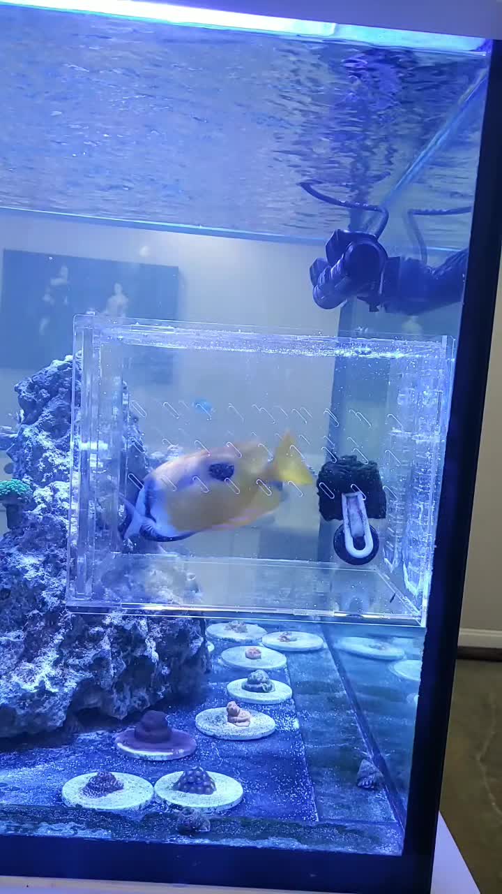 @300gallontank