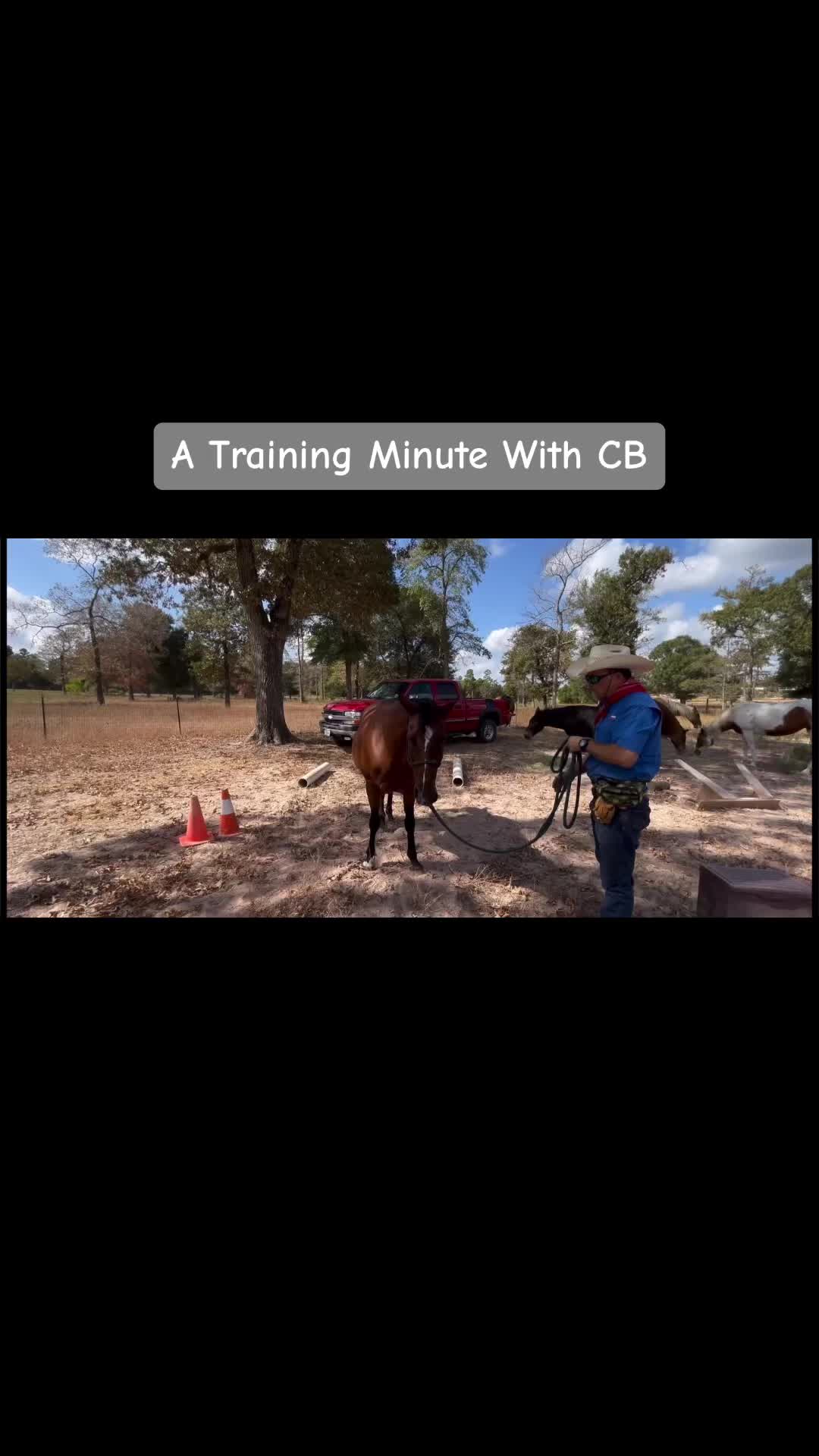 @CowboyBob_Horsemanship