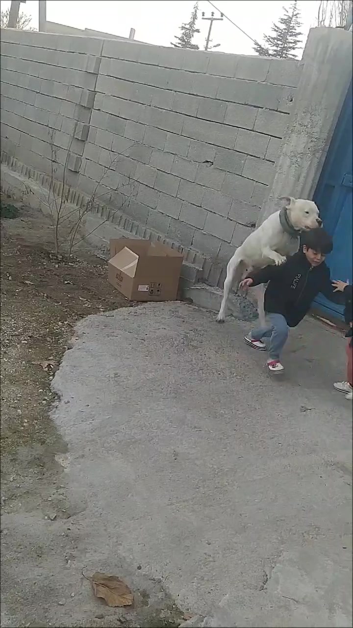 @Gökhan Güleş