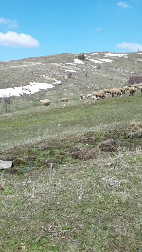 @yakup gökmen