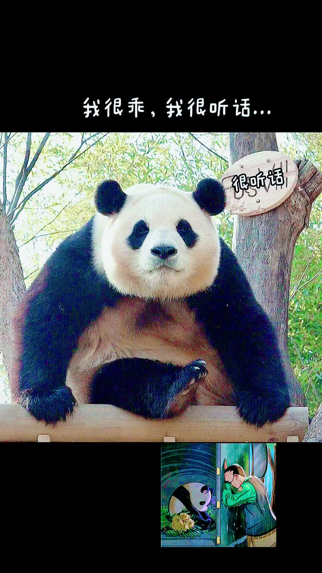 @ショウキンキ