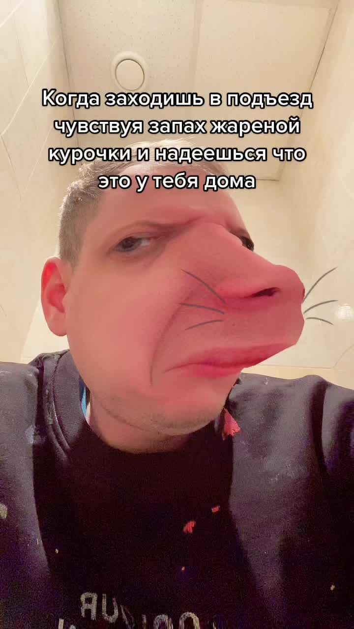 @rakotorgovets