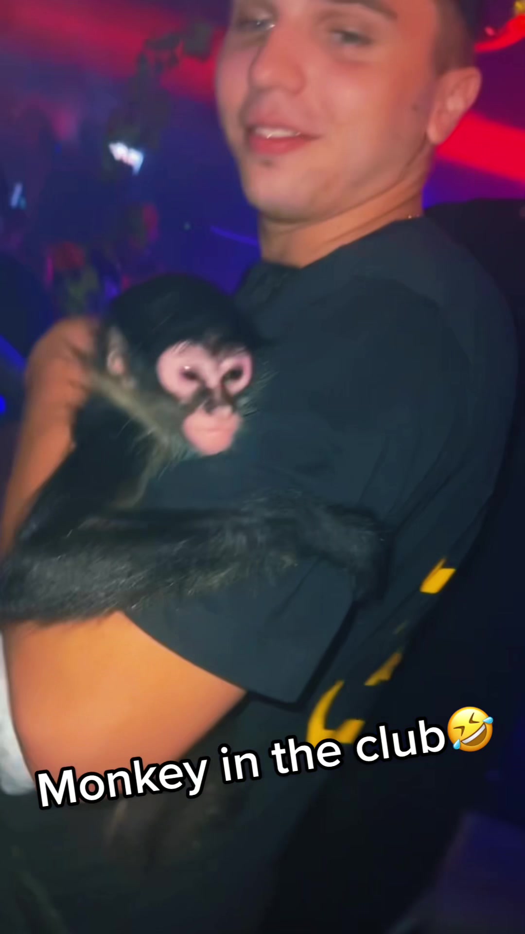 @📸