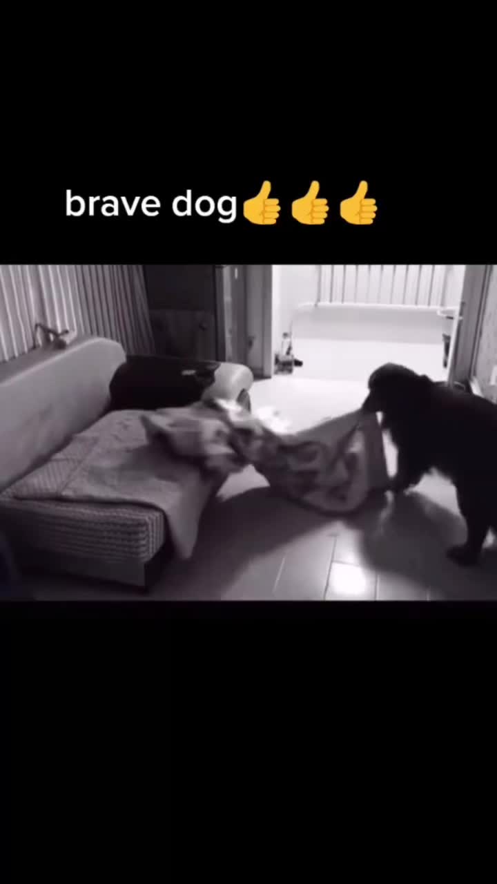 @Houseday007