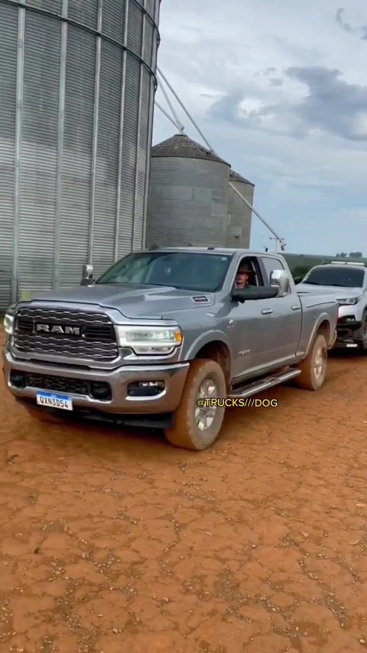 @TRUCKS///DOG