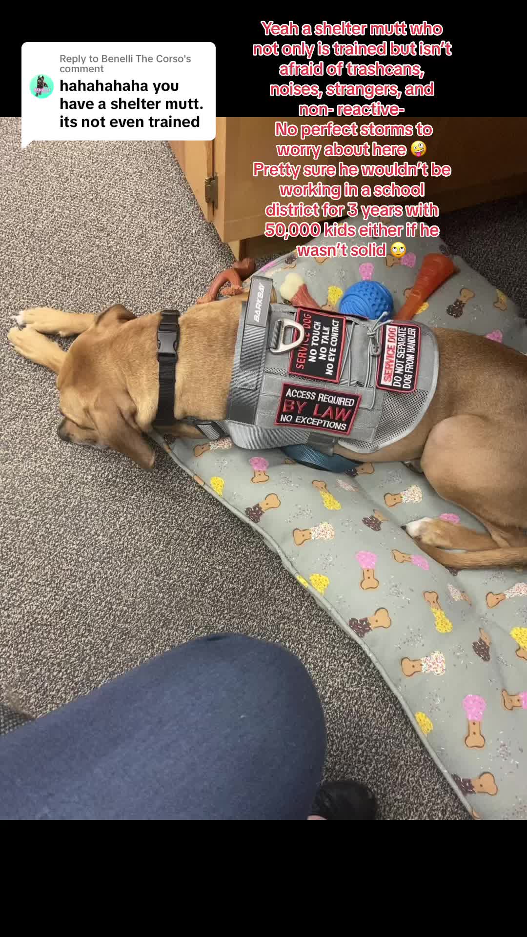 @DonkeyandHoundMama