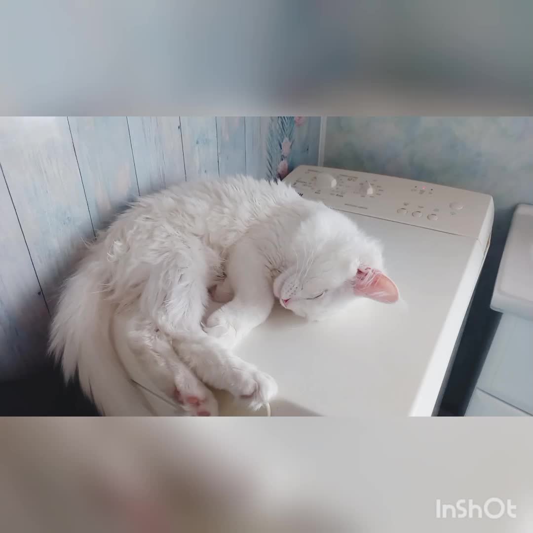 @Сашуля Милашка