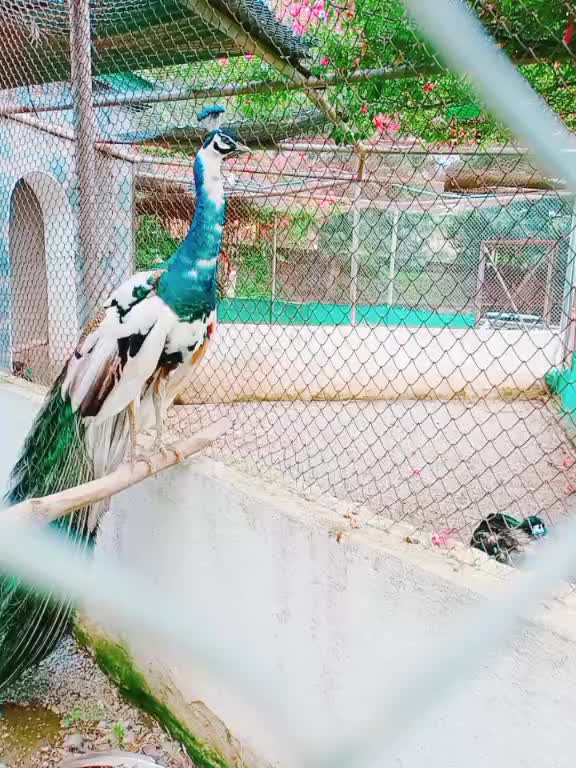 @Waseem Sajjad7125