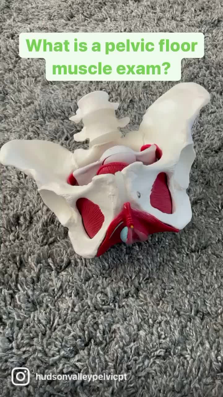 @user5654825997036