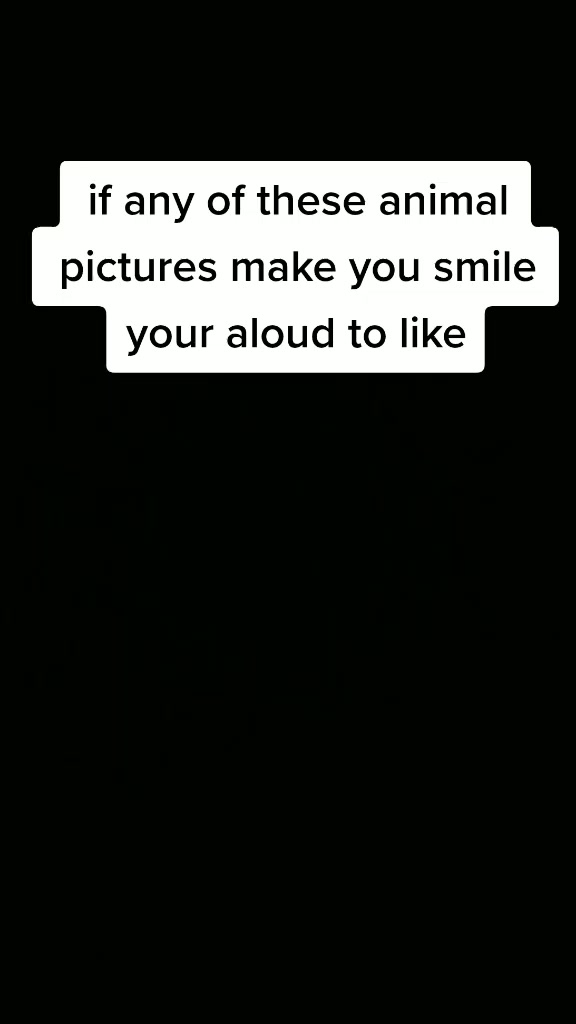 @X.B.L.
