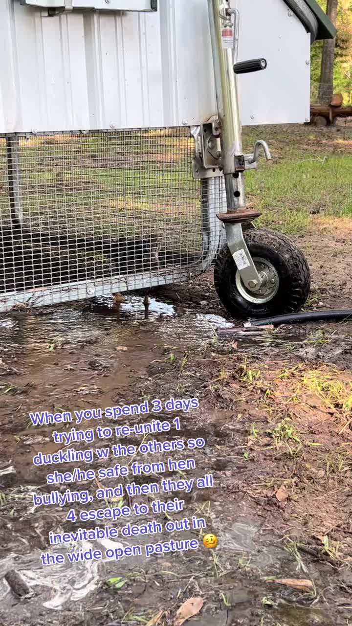 @Total_Farm