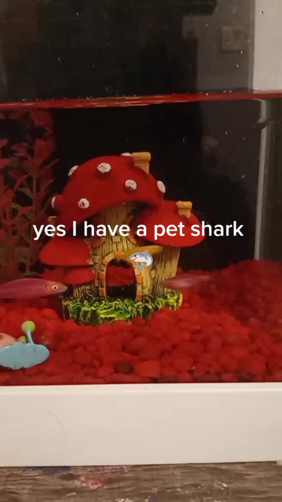 @yougoodbro