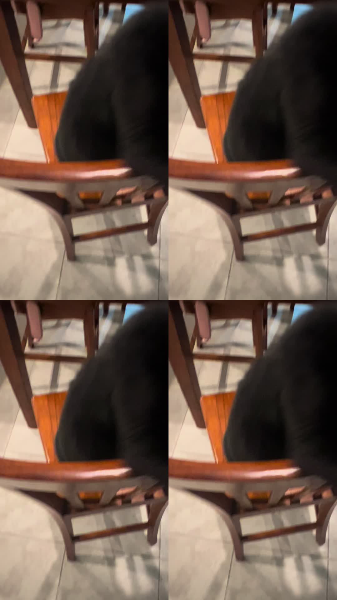 @Legzz29