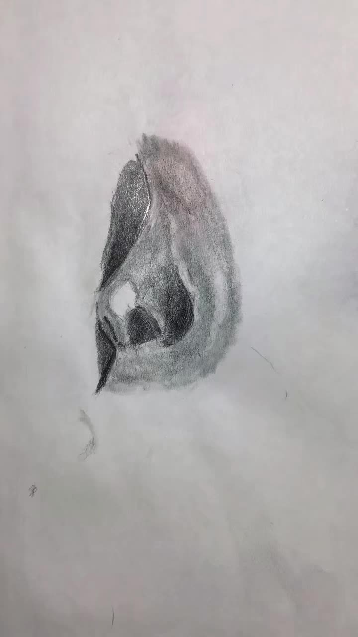 @teonico742