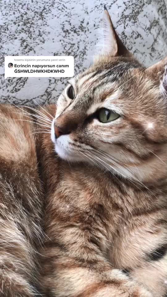 @öyukyunundonu