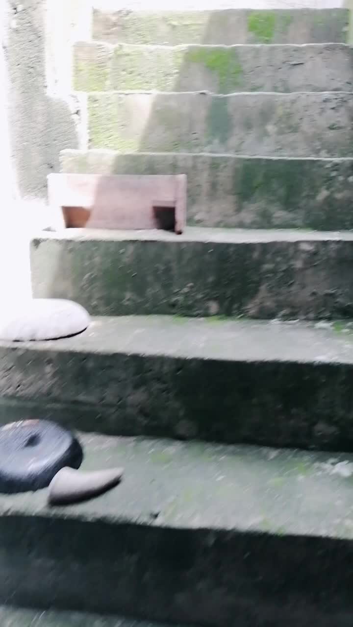 @vanmoe
