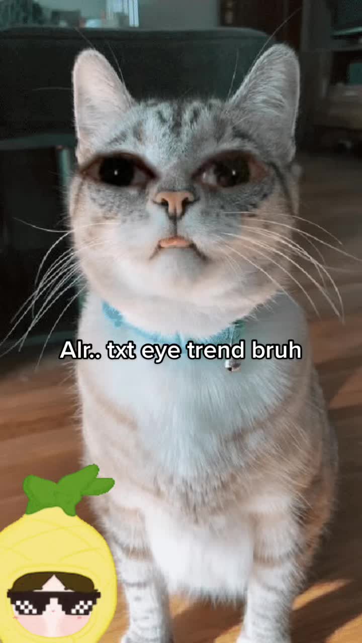 @Jet